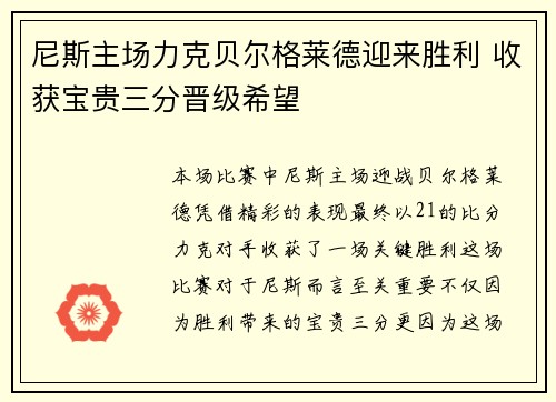 尼斯主场力克贝尔格莱德迎来胜利 收获宝贵三分晋级希望