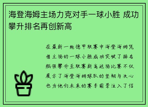 海登海姆主场力克对手一球小胜 成功攀升排名再创新高